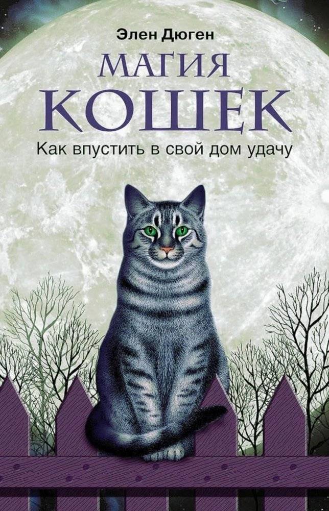 Магия кошек. Как впустить в свой дом удачу | The Magic of Cats: Inviting Good Fortune into Your Home