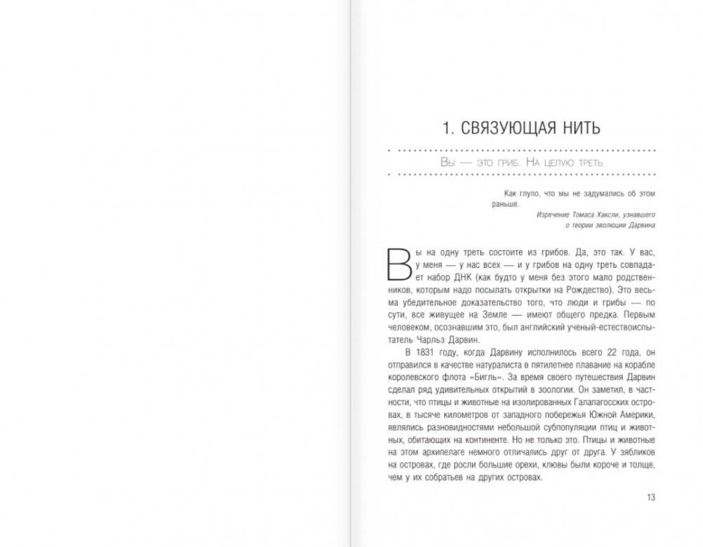 Странные вопросы о Вселенной, или Как сделать Солнце из бананового пюре фото книги 5