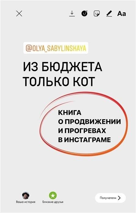 Из бюджета только кот. Книга о продвижении и прогревах в Инстаграме | On a Budget, Only a Cat: Promoting and Warming Up on Instagram