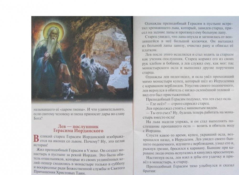 Можно ли муравью в храм входить? Занимательные рассказы для детей и родителей фото книги 5
