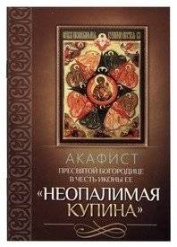 Акафист Пресвятой Богородице в честь иконы Ее Неопалимая Купина | Akathist to the Most Holy Theotokos in Honor of Her Icon "The Burning Bush"