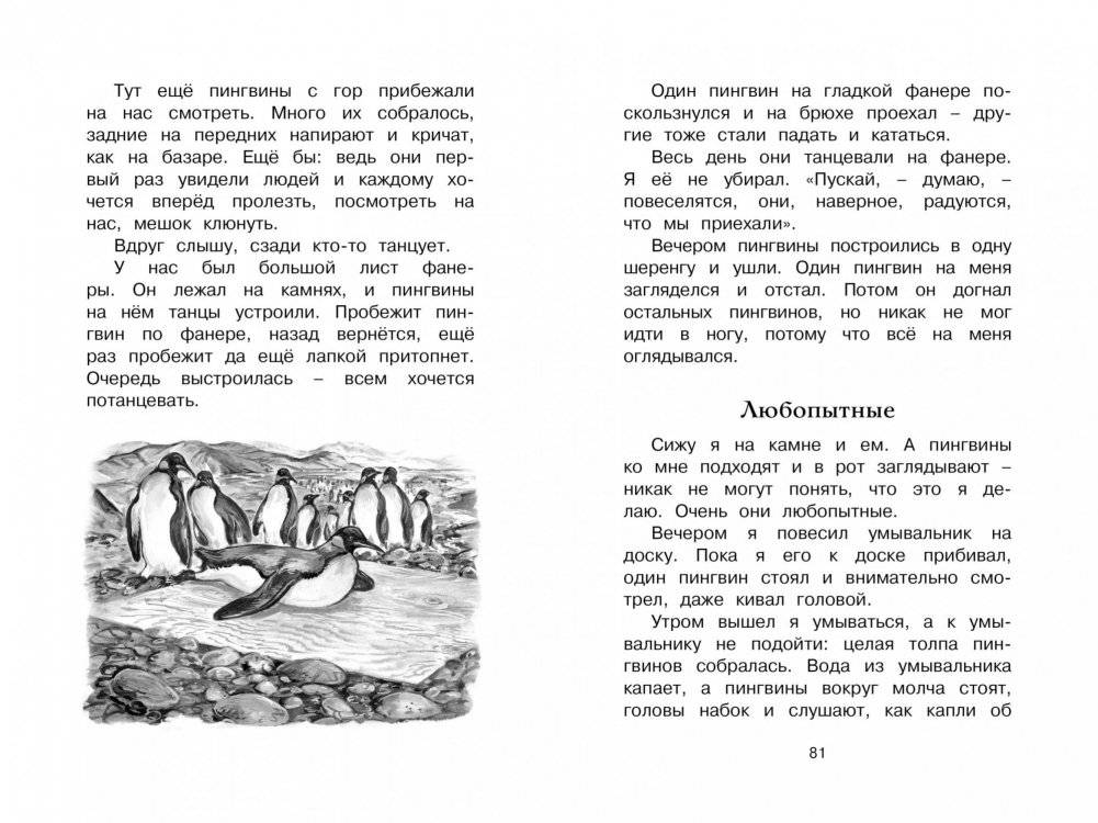 Беспокойный хвостик фото книги 2