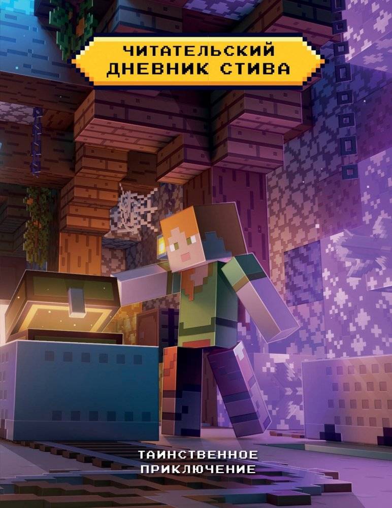 Читательский дневник Стива. Таинственное приключение фото книги
