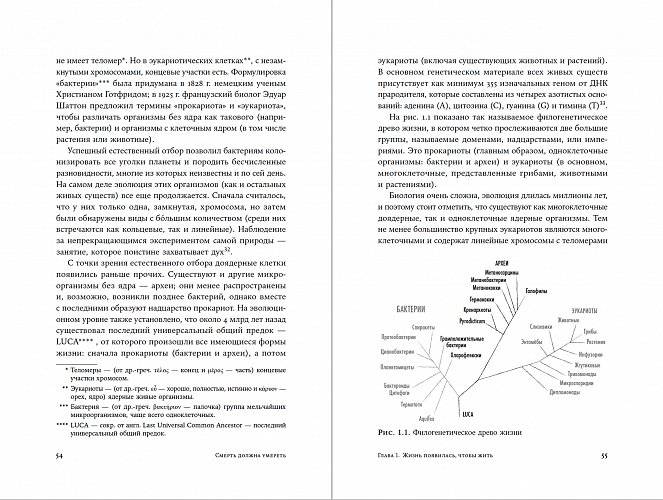 Смерть должна умереть: Наука в борьбе за наше бессмертие фото книги 7