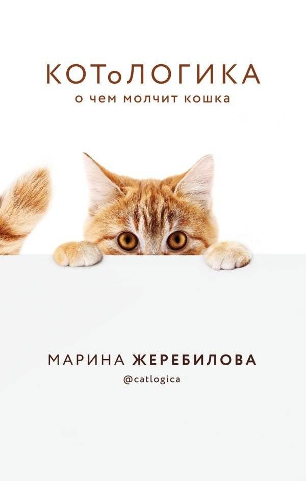 КОТоЛОГИКА. О чем молчит кошка | Catlogica. What the Cat Keeps Silent About