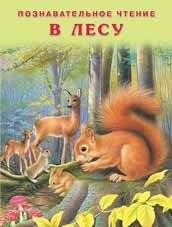 В лесу | In the Forest