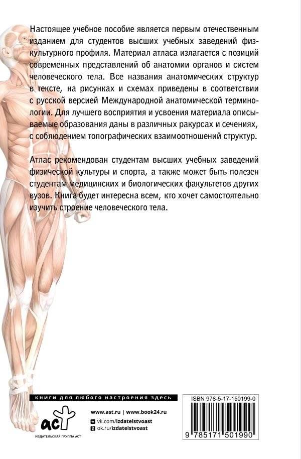 Атлас функциональной анатомии человека фото книги 2