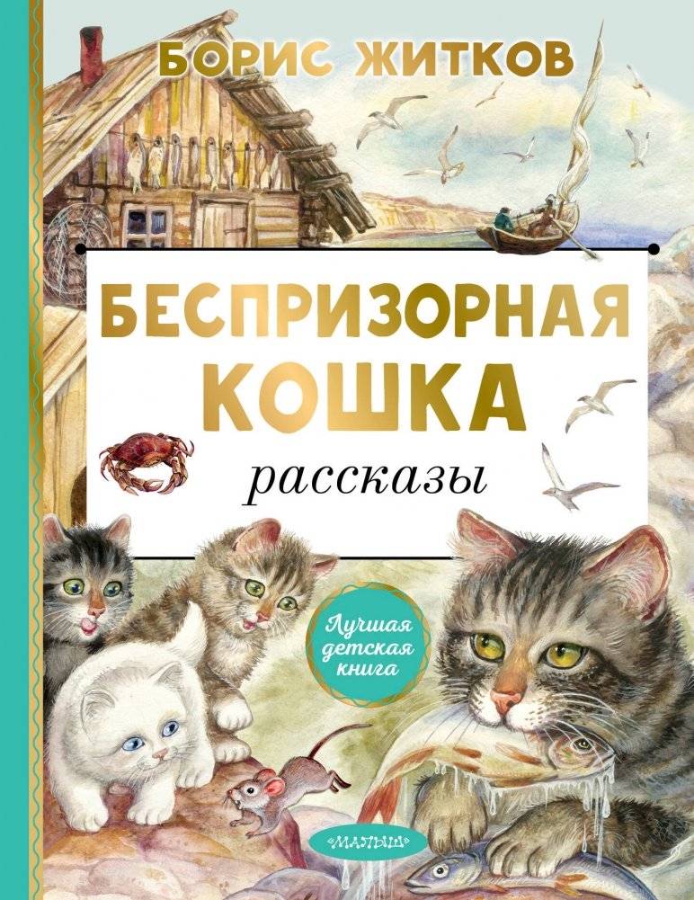 Беспризорная кошка | The Stray Cat