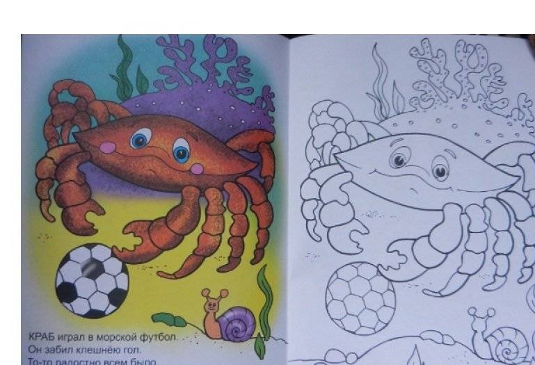 Кто живет в воде фото книги 2