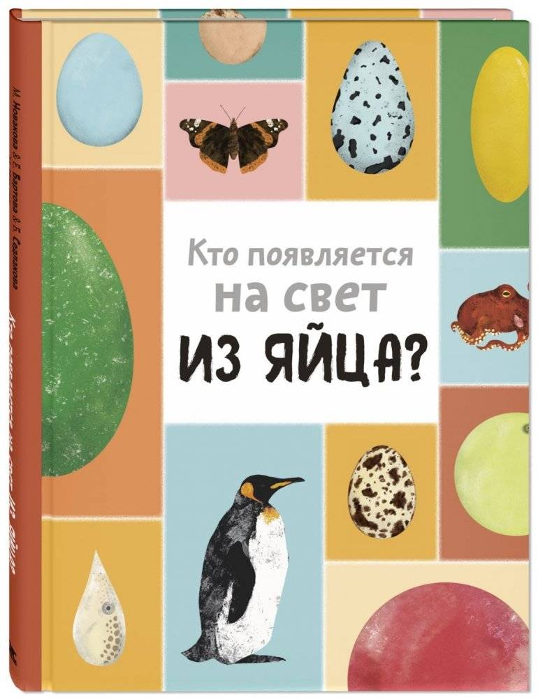 Кто появляется на свет из яйца? | Who Hatches from an Egg?