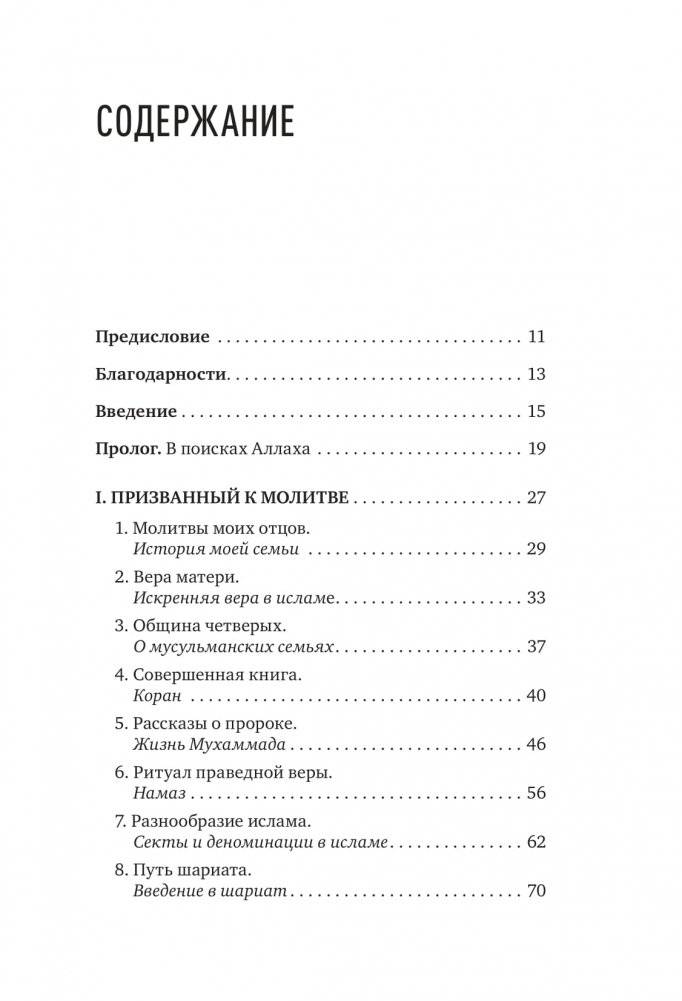 Искал Аллаха – нашел Христа. История бывшего мусульманина фото книги 3