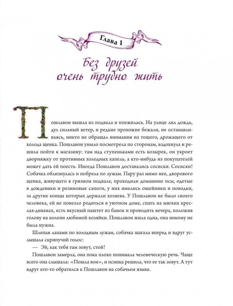 Амулет Добра фото книги 8