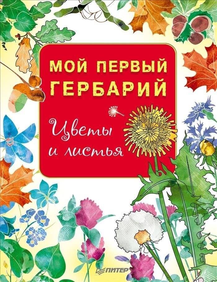 Мой первый гербарий. Цветы и листья | My First Herbarium: Flowers and Leaves