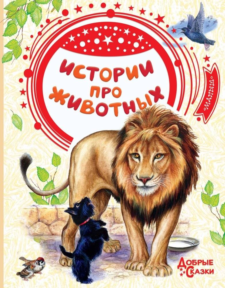 Истории про животных | Animal Stories