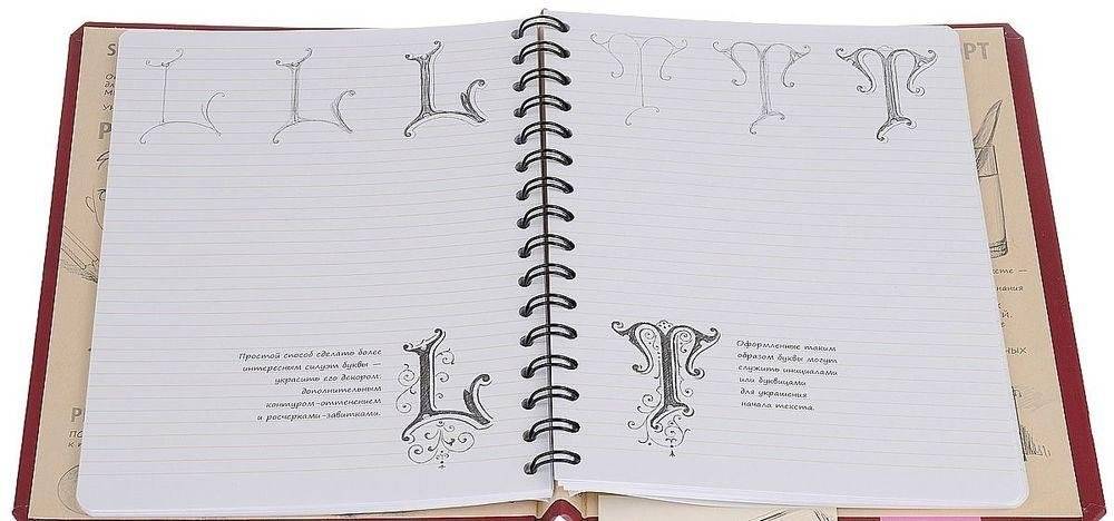 Sketchbook. Искусство красивого письма. Книга для записей и зарисовок фото книги 3