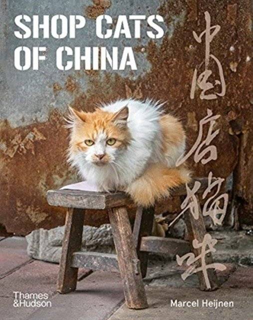 Shop Cats of China фото книги