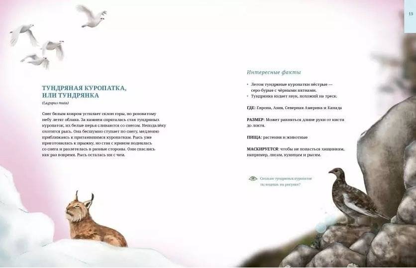 Животные-невидимки. Чудеса маскировки в дикой природе фото книги 3