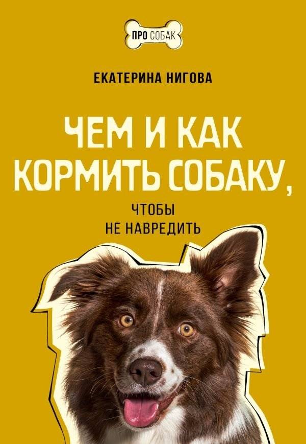 Чем и как кормить собаку, чтобы не навредить | What and How to Feed Your Dog Without Harming It