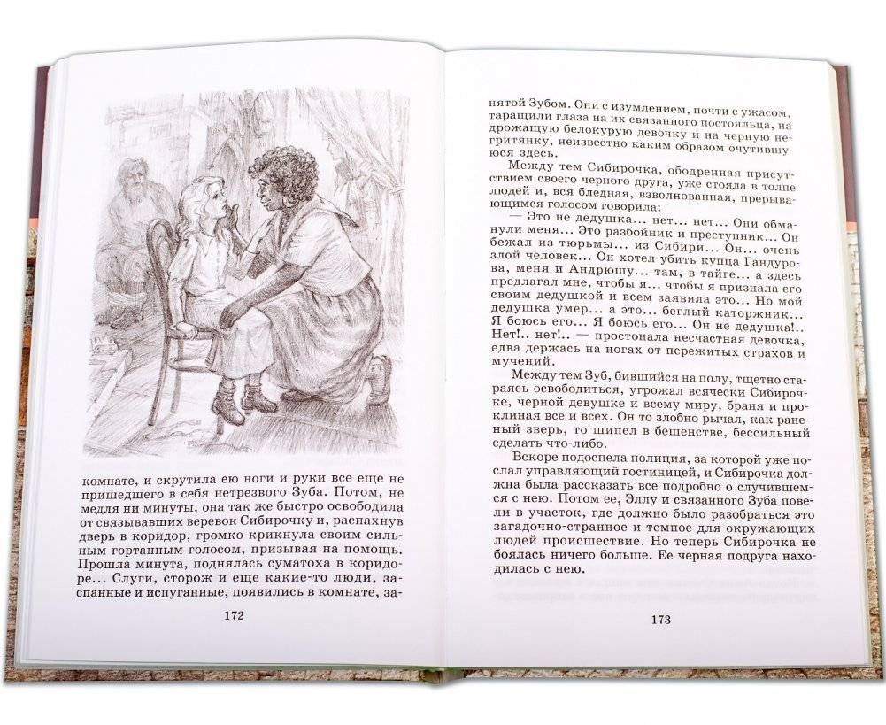 Сибирочка. Записки маленькой гимназистки фото книги 5