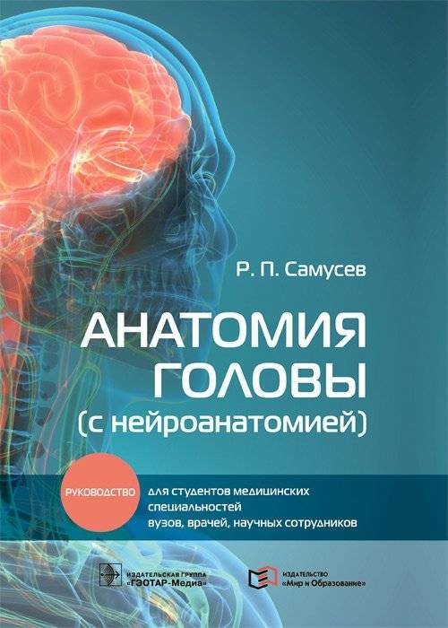 Анатомия головы (с нейроанатомией) | Anatomy of the Head (with Neuroanatomy)