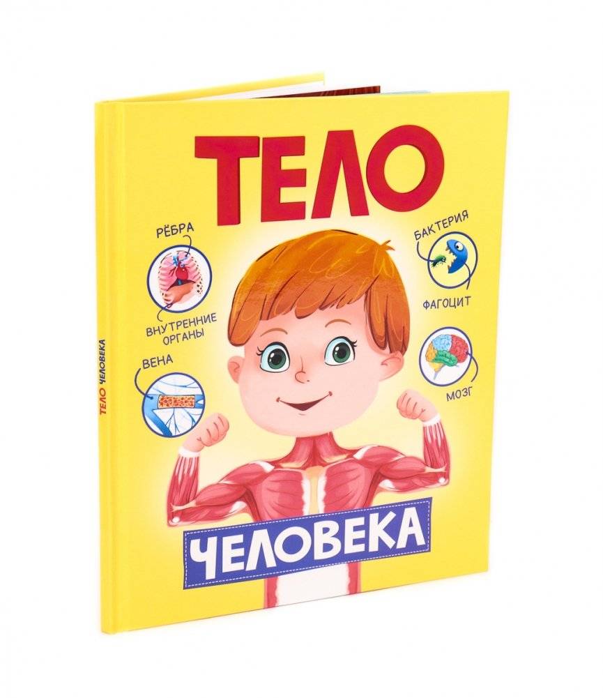 Тело человека | The Human Body