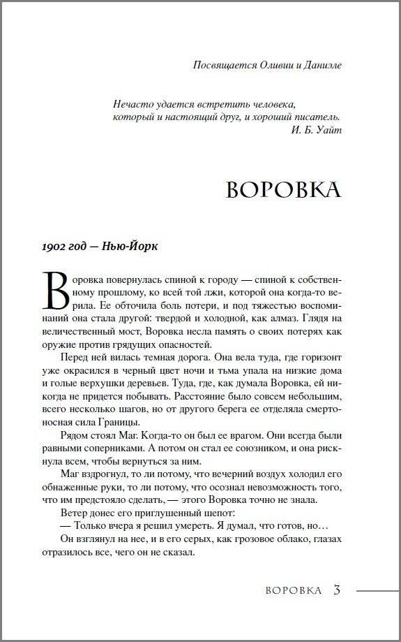 Последний маг. 2. Воровка дьявола фото книги 2