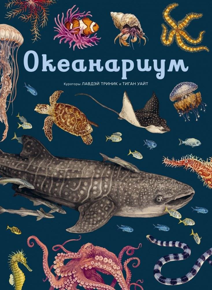 Океанариум | Oceanarium
