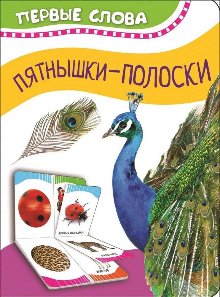 Пятнышки-полоски | Spots and Stripes