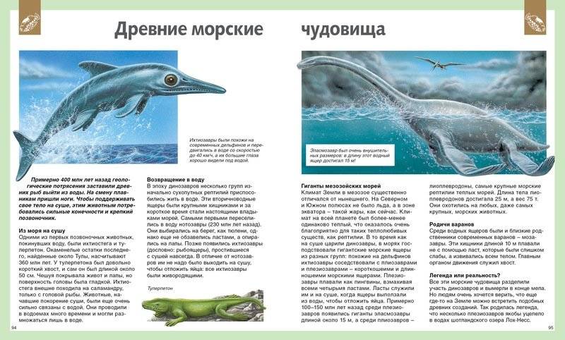 Универсальная школьная энциклопедия фото книги 4