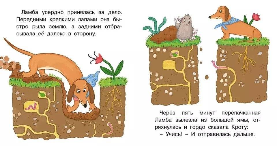 День добрых дел. Книжка-картинка фото книги 3