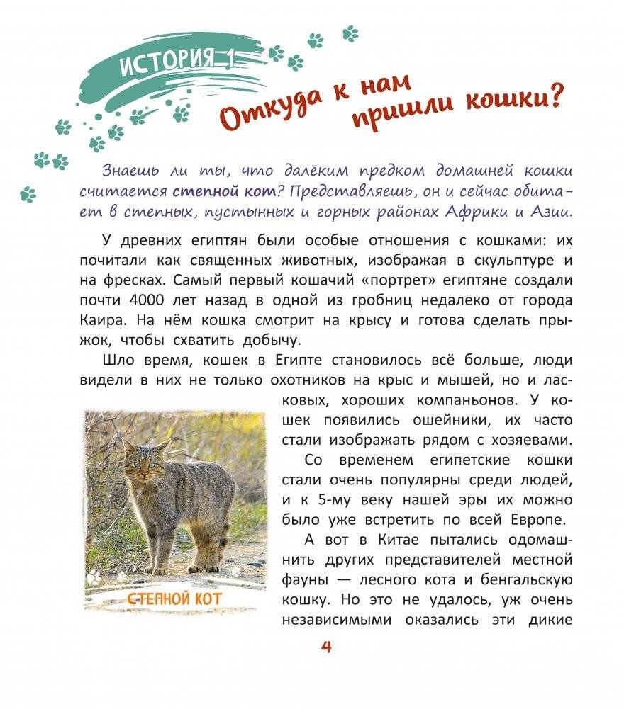 ТЫ и коТЫ. Книга в историях о котах и кошечках фото книги 3