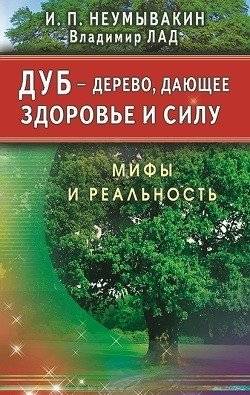 Дуб - дерево, дающее здоровье и силу. Мифы и реальность | Oak: A Tree of Health and Strength. Myths and Reality