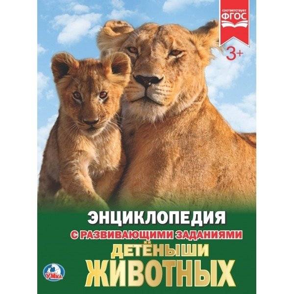 Детеныши животных | Animal Offspring