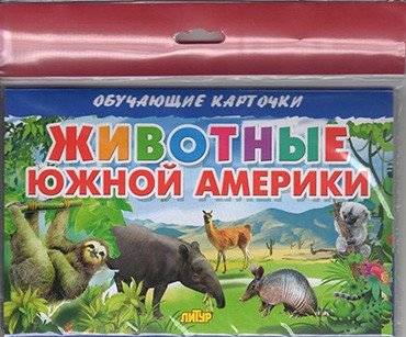 Животные Южной Америки | Animals of South America