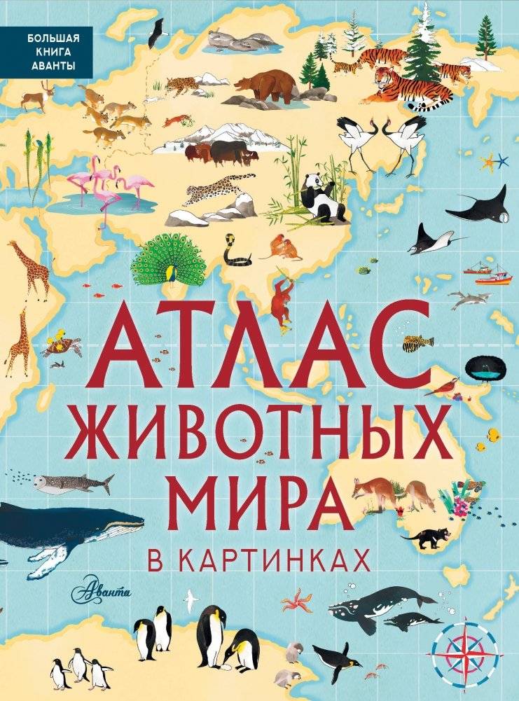 Атлас животных мира в картинках | Animal Atlas of the World in Pictures