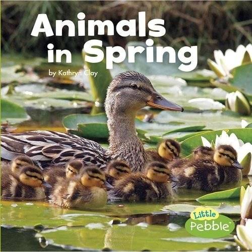 Животные весной | Animals in Spring