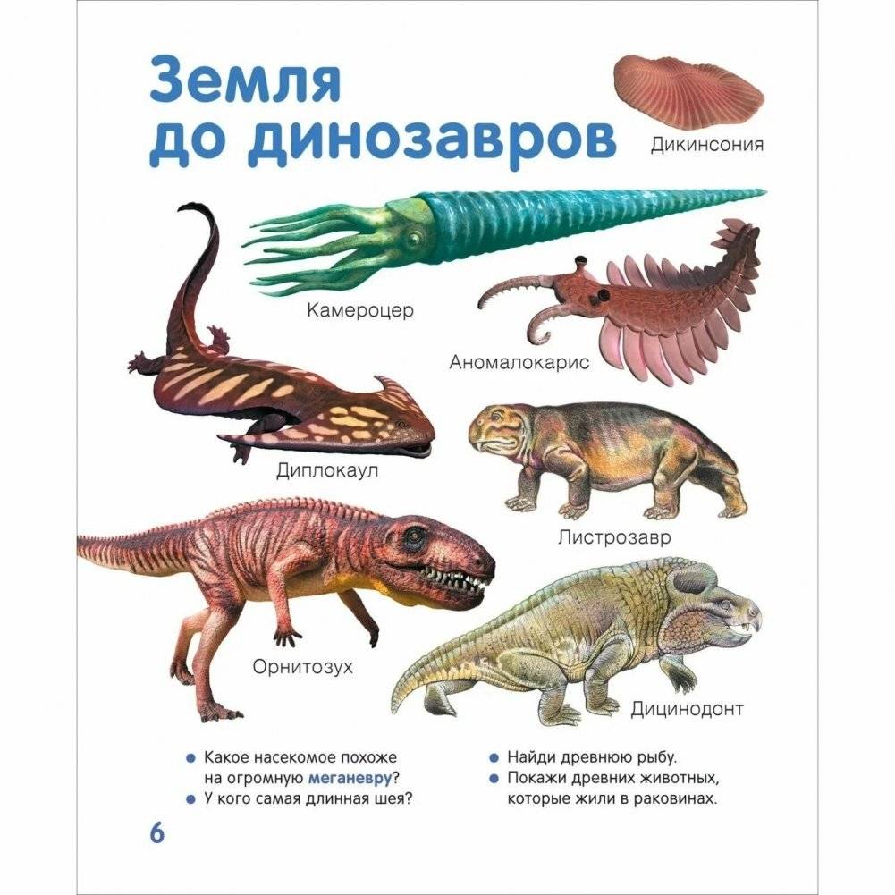 Динозавры. Твоя первая фотокнига фото книги 6