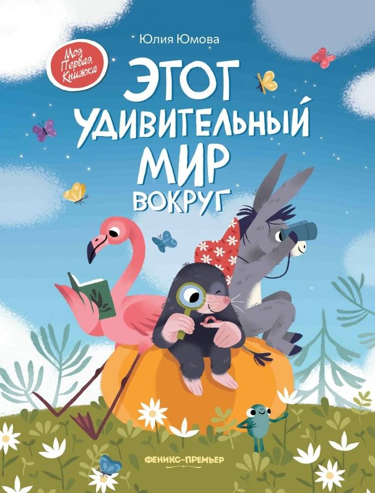 Этот удивительный мир вокруг фото книги 2