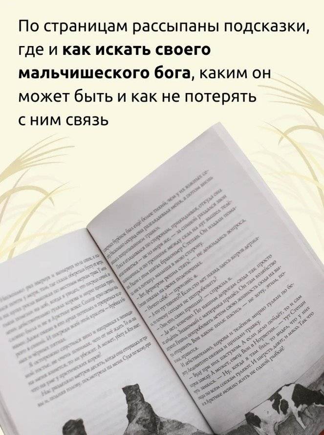 В поисках мальчишеского бога (мягкая обложка) фото книги 3
