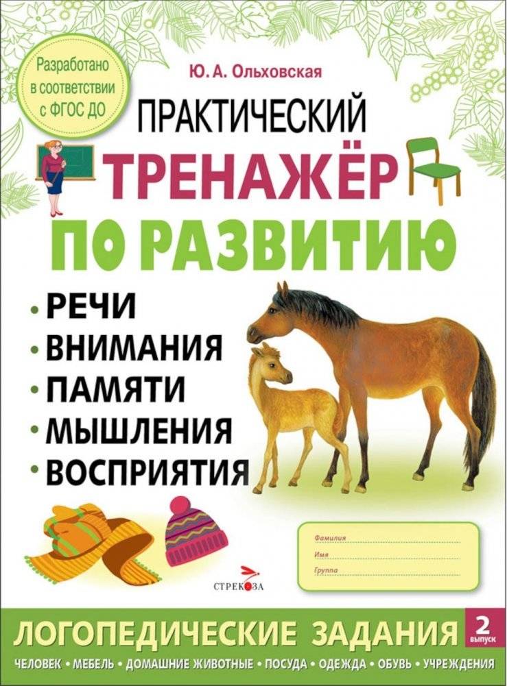 Практический тренажер по развитию речи, внимания, памяти, мышления, восприятия. Выпуск 2. Рабочая тетрадь | Practical Workbook for Speech, Attention, Memory, Thinking, and Perception Development. Issue 2.