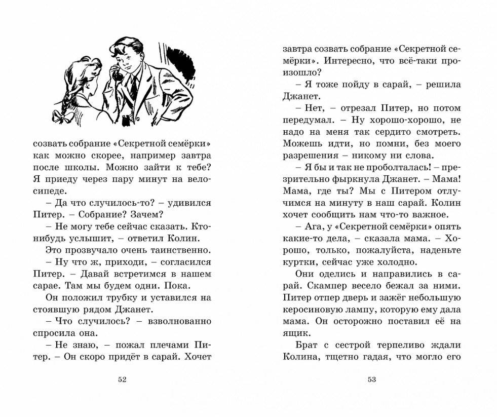 Странная кража фото книги 5