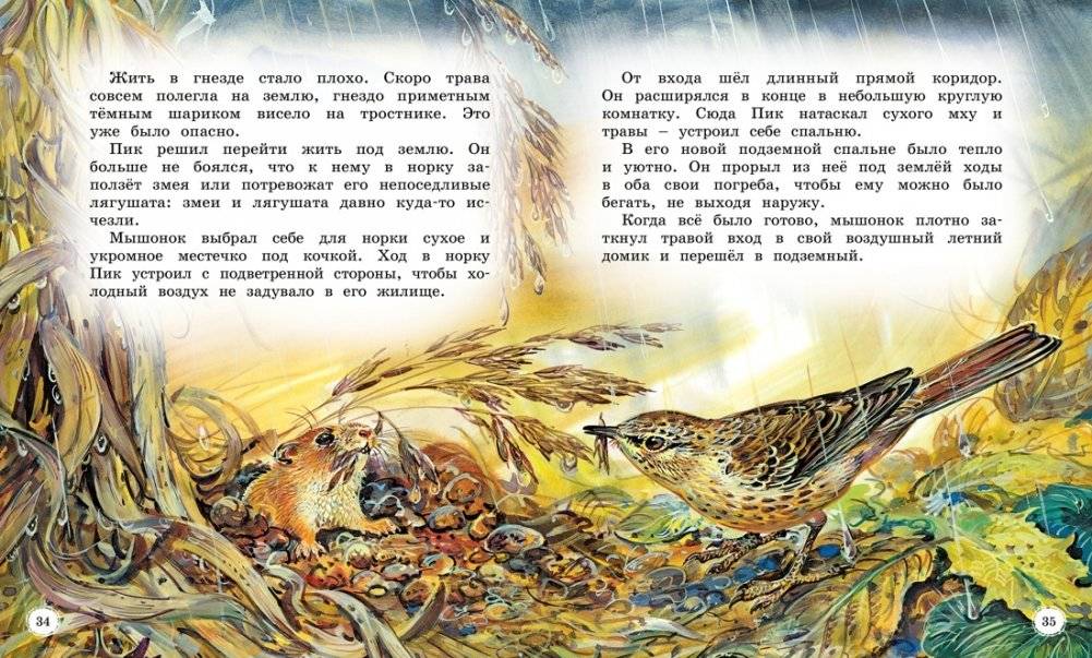 Сказки и рассказы о животных фото книги 5