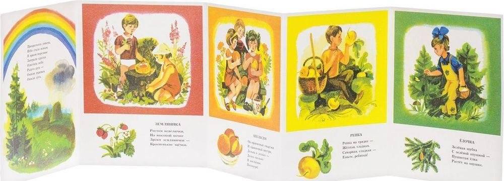 Краски радуги фото книги 2