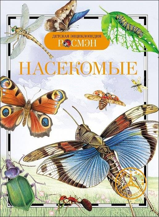 Насекомые | Insects