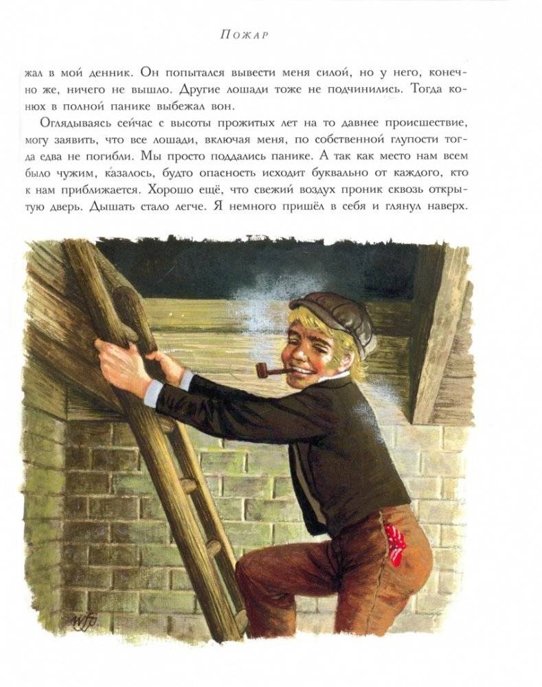 Черный красавчик фото книги 2