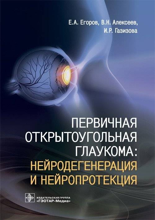 Первичная открытоугольная глаукома. Нейродегенерация и нейропротекция | Primary open-angle glaucoma: Neurodegeneration and neuroprotection