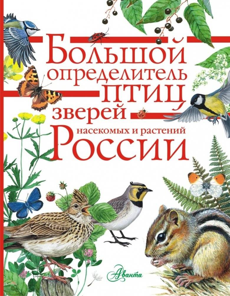 Большой определитель птиц, зверей, насекомых и растений России | Large Guide to Birds, Animals, Insects, and Plants of Russia