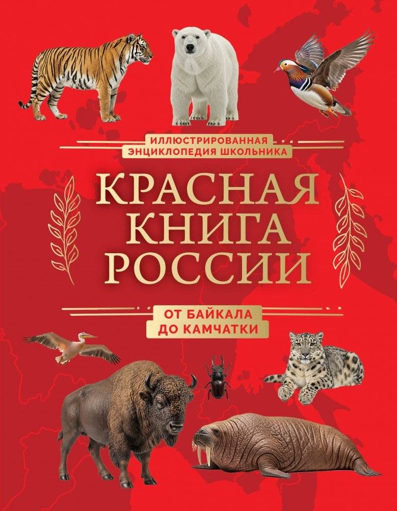 Красная книга России. От Байкала до Камчатки. Иллюстрированная энциклопедия школьника | Red Book of Russia: From Baikal to Kamchatka – Illustrated Encyclopedia for Students