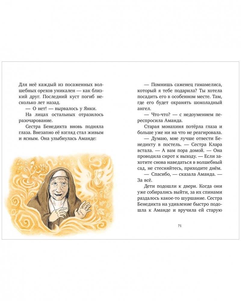 Шоколадус. 7. Магический орешек фото книги 4