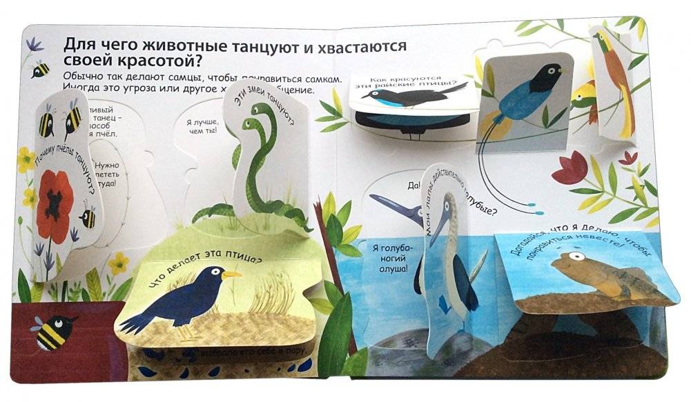 40 окошек. Как говорят животные фото книги 4
